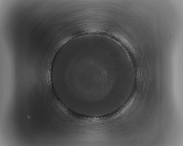 X0000102480881200808151447