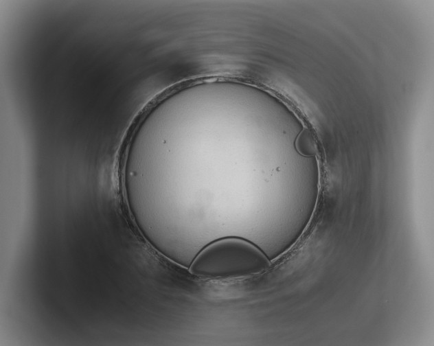 X0000102480883200808151447