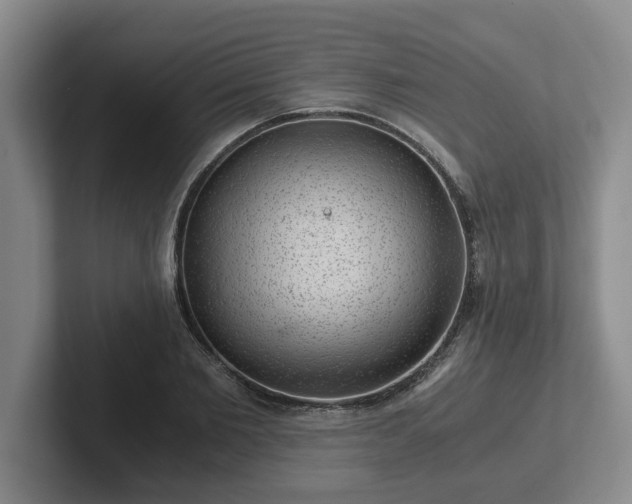 X0000102480885200808151447