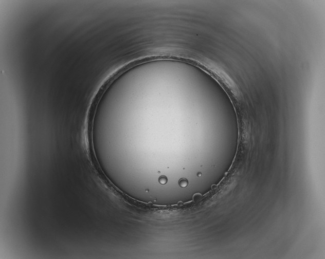 X0000102480888200808151447