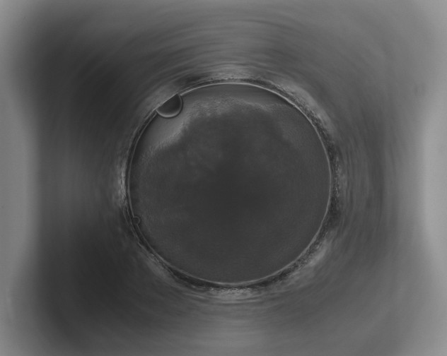 X0000102480889200808151447