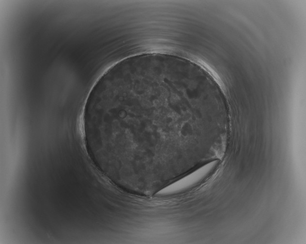 X0000102480891200808151447