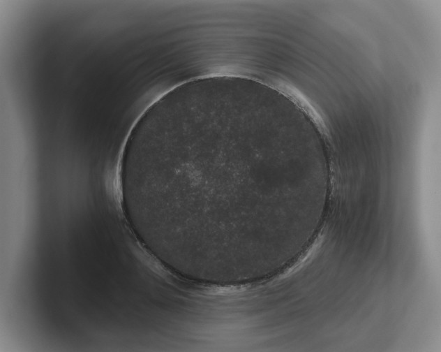 X0000102480892200808151447