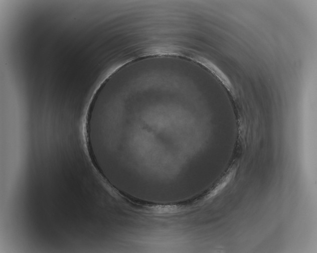 X0000102480893200808151447