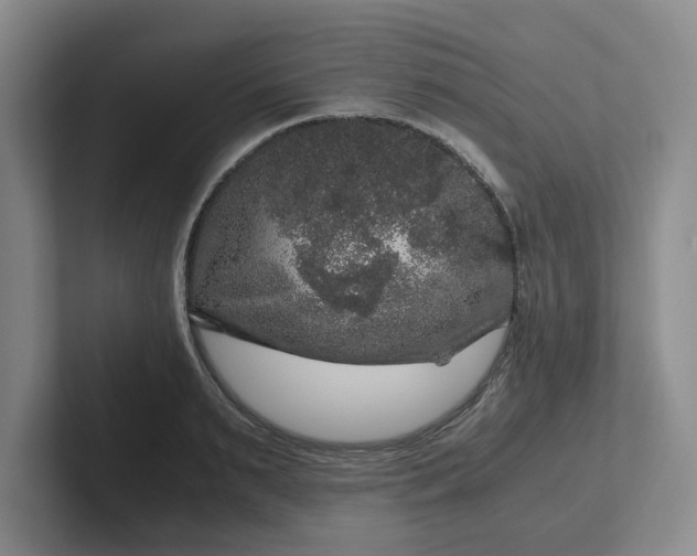 X0000102480895200808151447