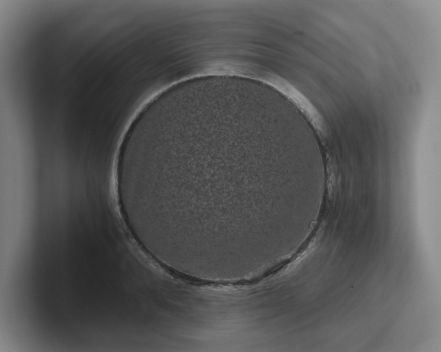 X0000102480896200808151447