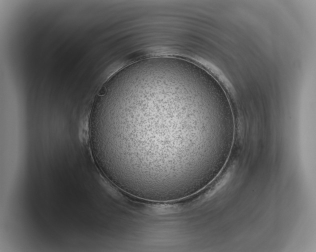 X0000102480897200808151447