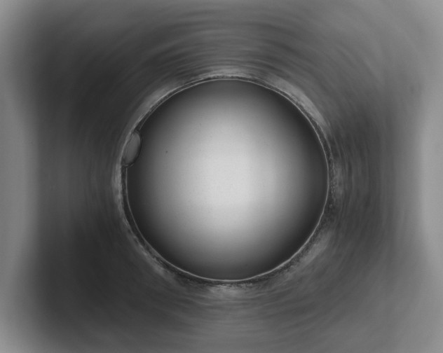 X0000102480898200808151447