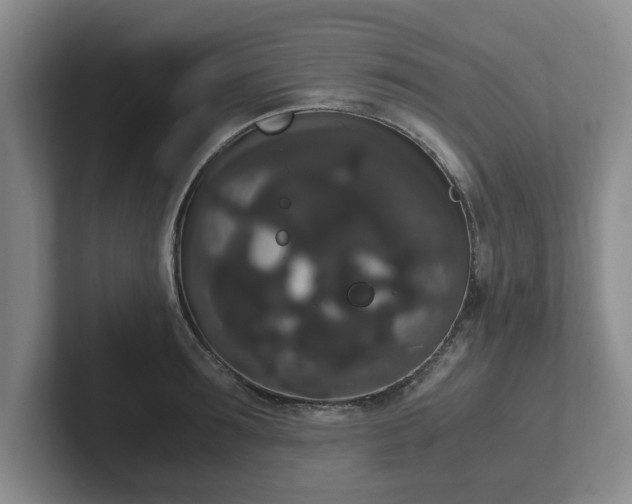 X0000102480899200808151447