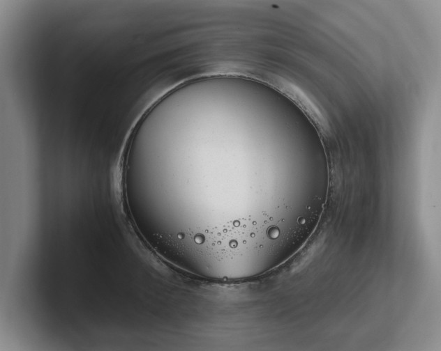 X0000102480900200808151447