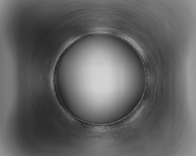 X0000102480901200808151447