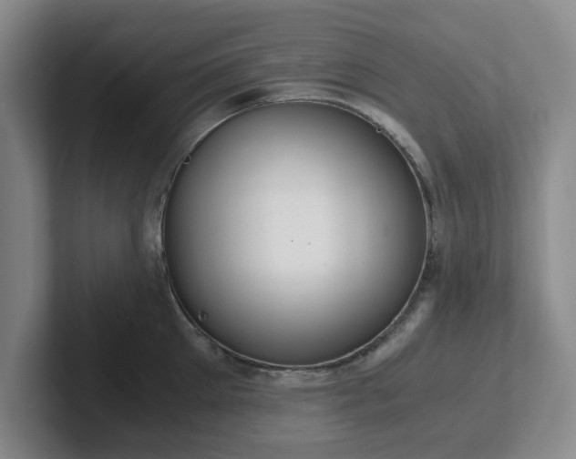 X0000102480905200808151447