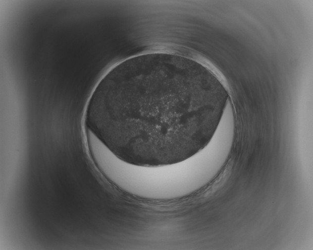 X0000102480907200808151447