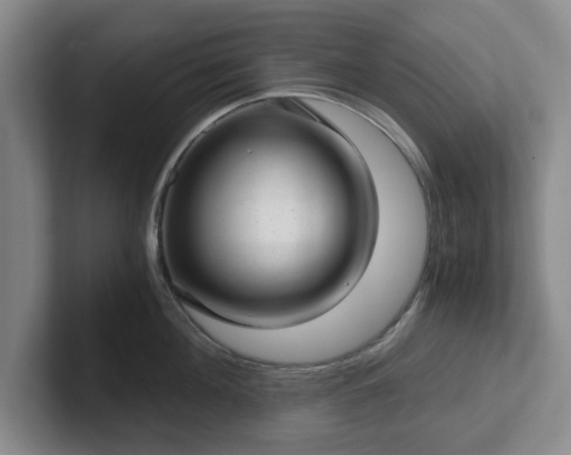 X0000102480908200808151447