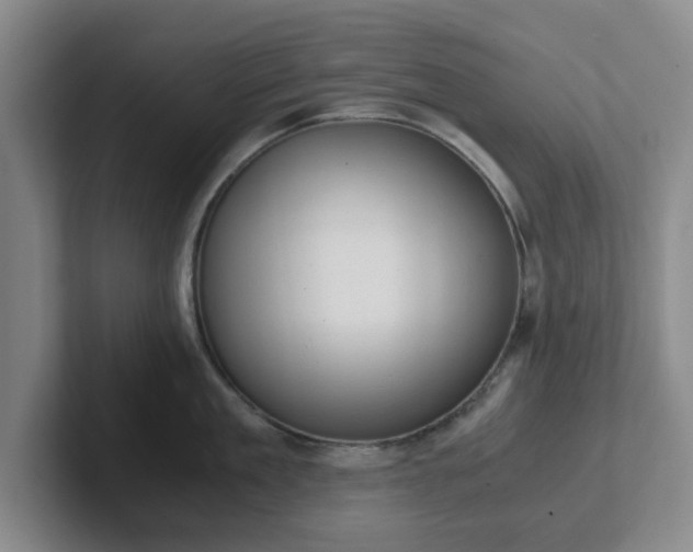 X0000102480909200808151447