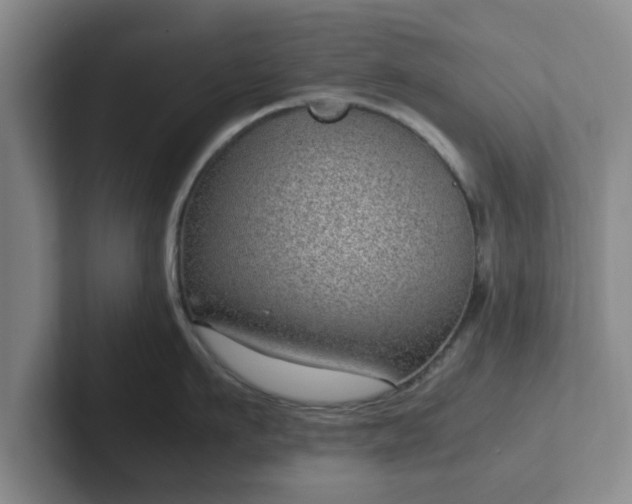 X0000102480911200808151447