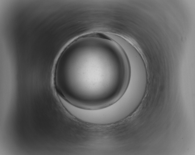 X0000102480912200808151447