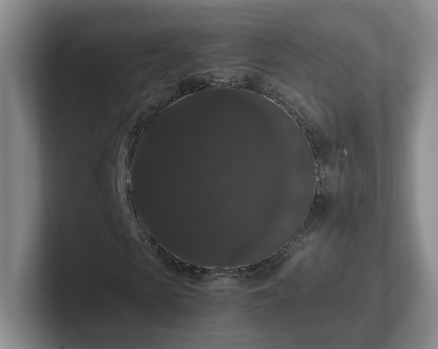 X0000102480913200808151446