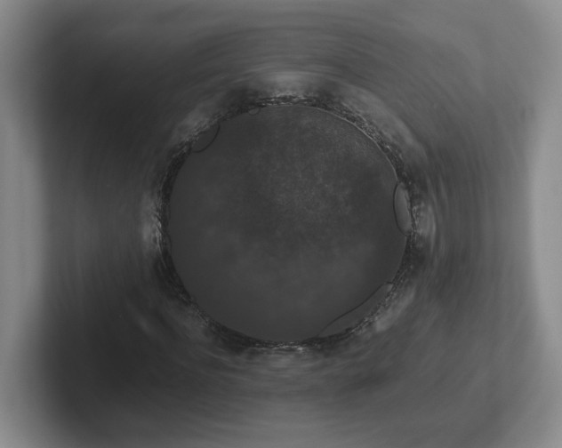 X0000102480916200808151446