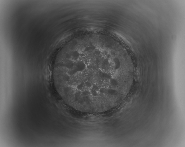 X0000102480917200808151446