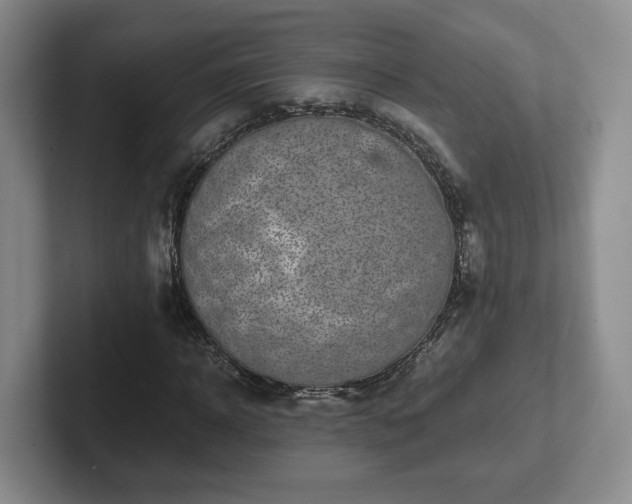 X0000102480918200808151446