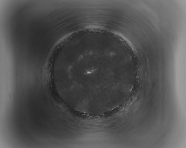 X0000102480919200808151446