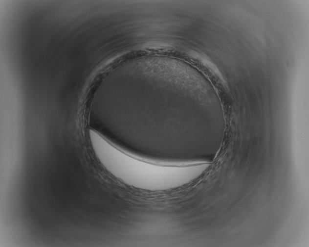 X0000102480920200808151446