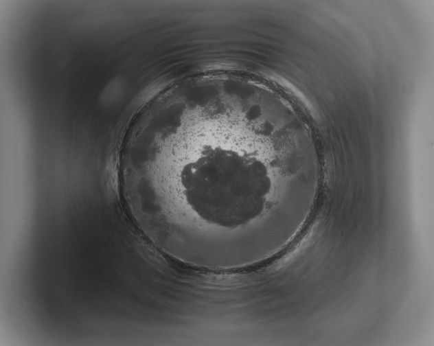 X0000102480921200808151446