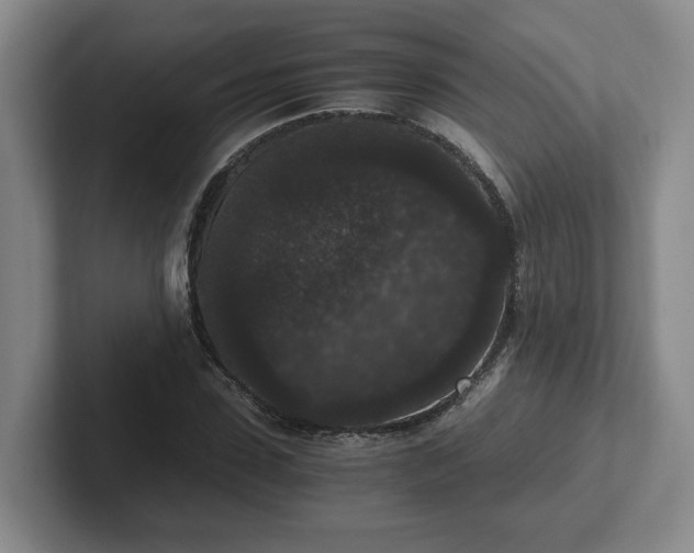 X0000102480923200808151446