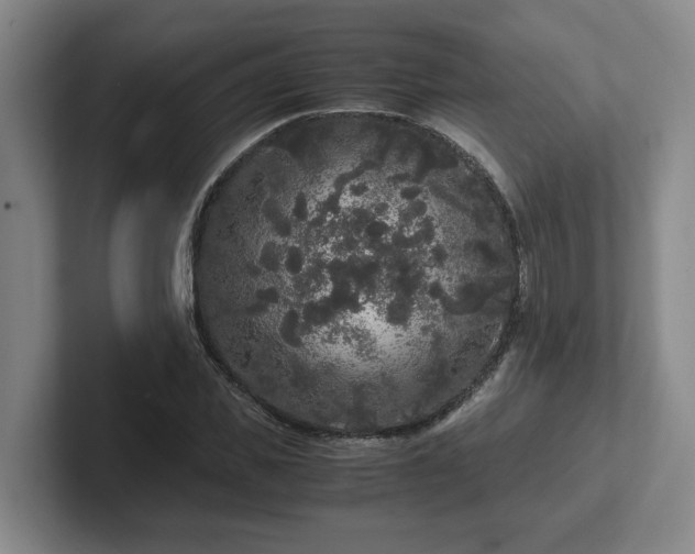 X0000102480925200808151447