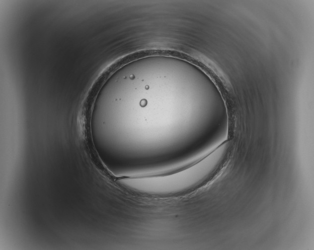 X0000102480926200808151447