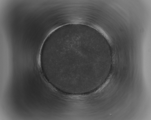 X0000102480932200808151447