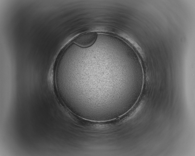 X0000102480933200808151447