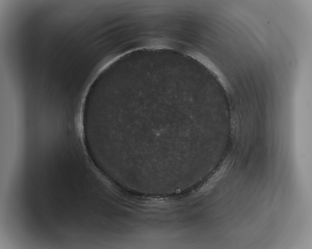 X0000102480935200808151447