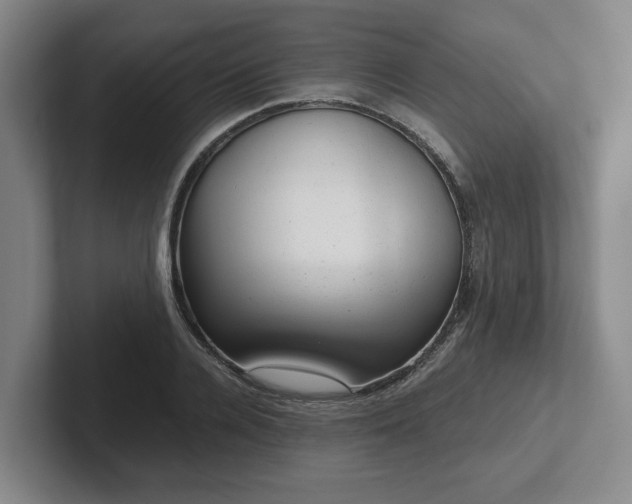 X0000102480936200808151447