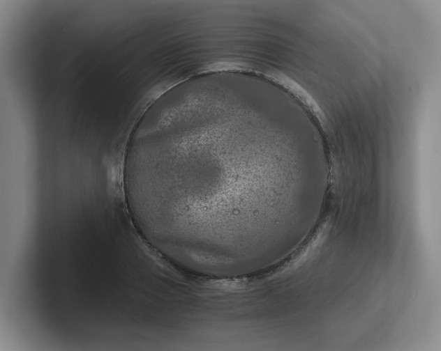 X0000102480937200808151447