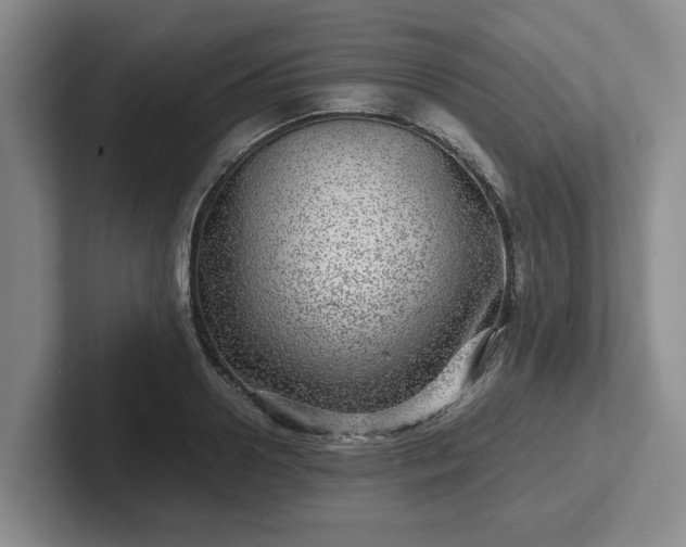 X0000102480938200808151447