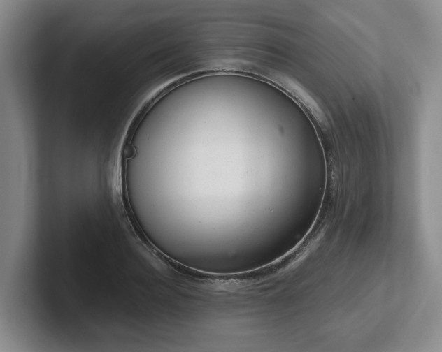 X0000102480940200808151447