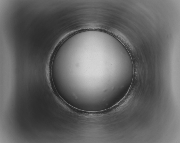 X0000102480942200808151447