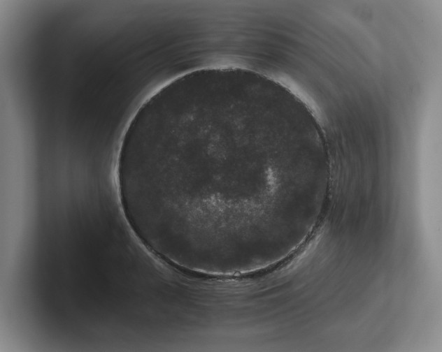 X0000102480943200808151447