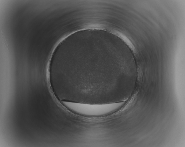 X0000102480944200808151447