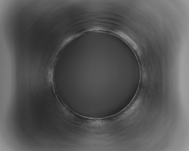 X0000102480945200808151447