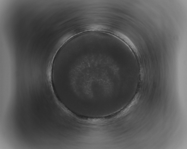 X0000102480946200808151447