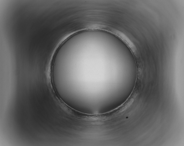 X0000102480948200808151447