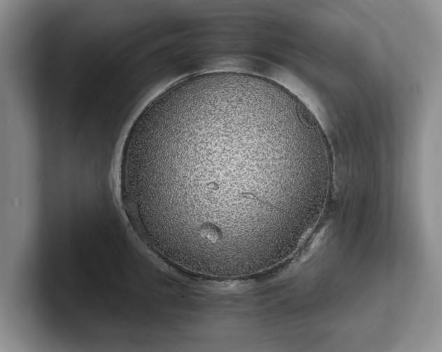 X0000102480949200808151447