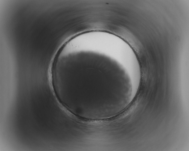 X0000102480950200808151447