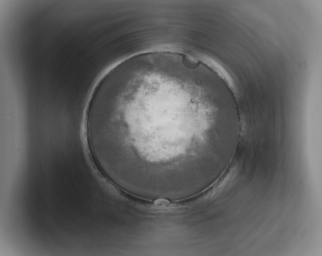 X0000102480952200808151447