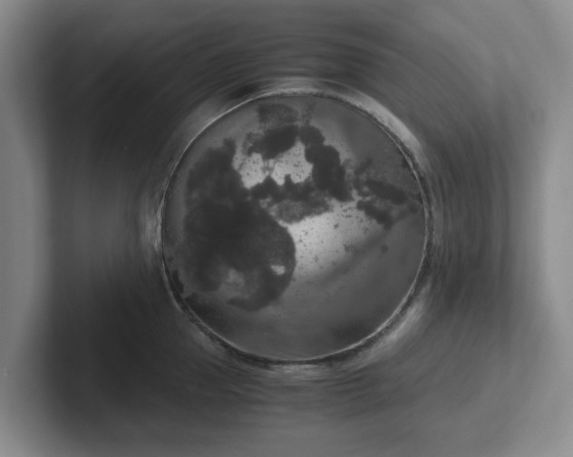 X0000102480953200808151447