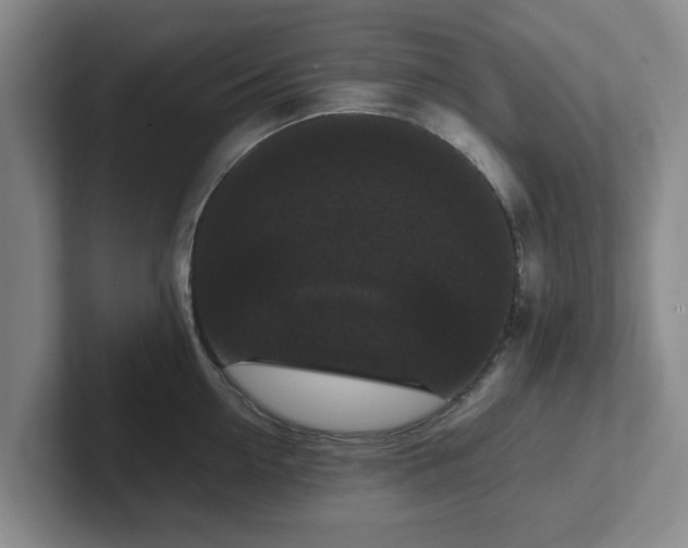 X0000102480954200808151447