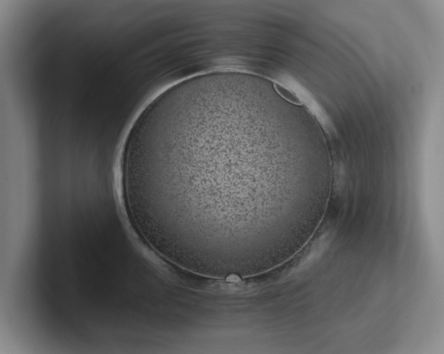 X0000102480955200808151447